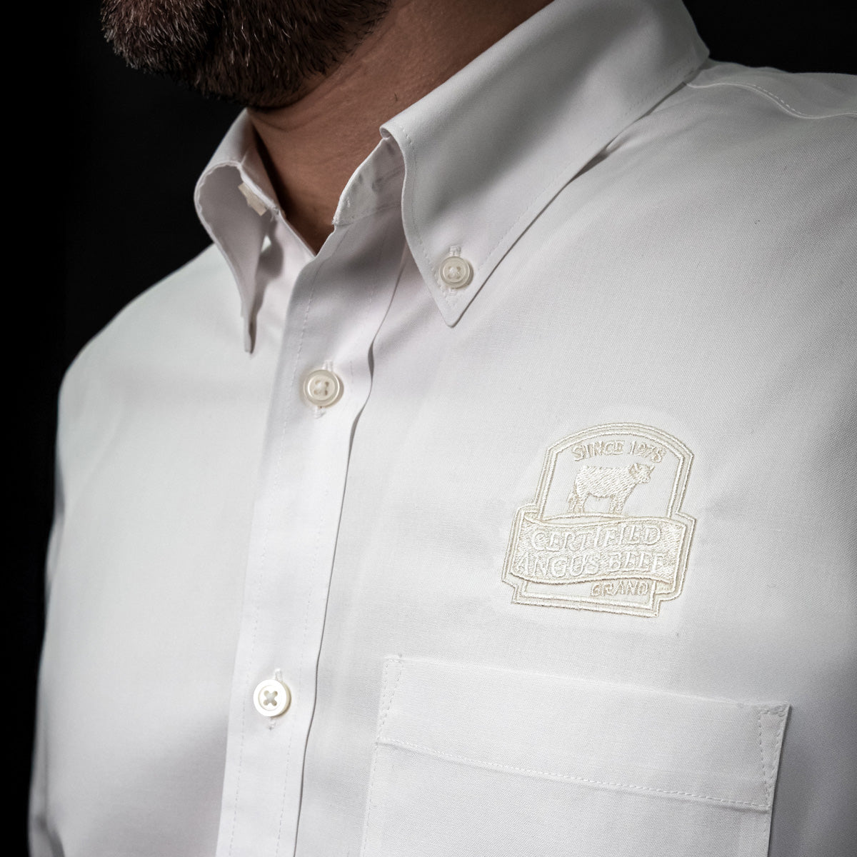 Brooks Brothers Dress Shirt