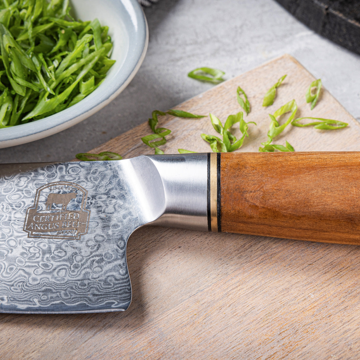 Fossil Damascus Chef Knife
