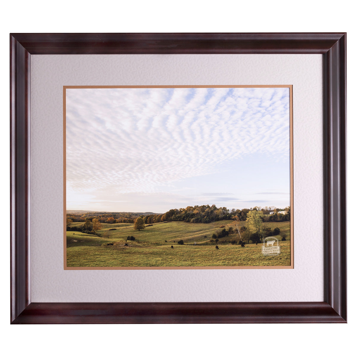 Wide Open Spaces Cherry Wood Framed Print