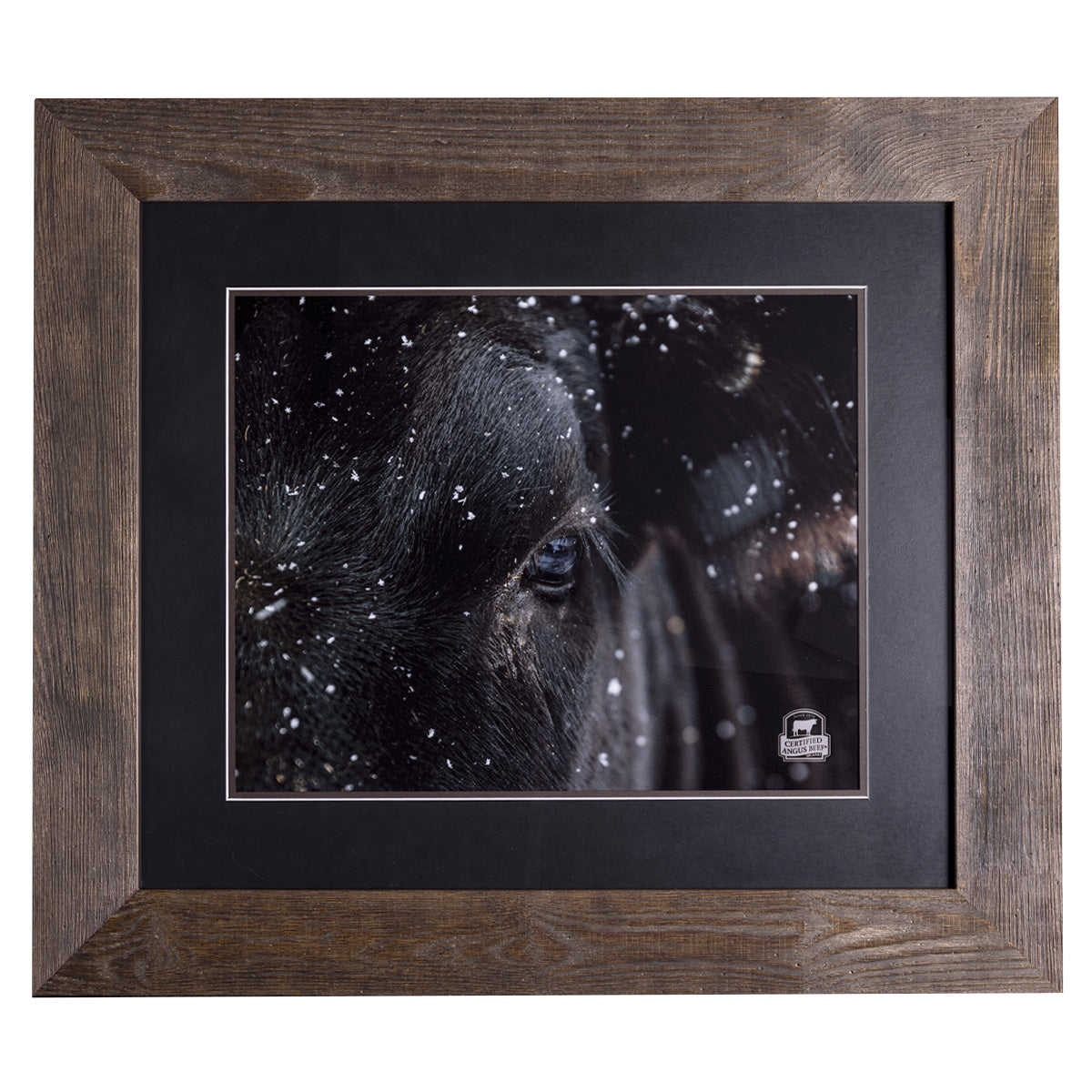 Winter in the Pasture Framed Print