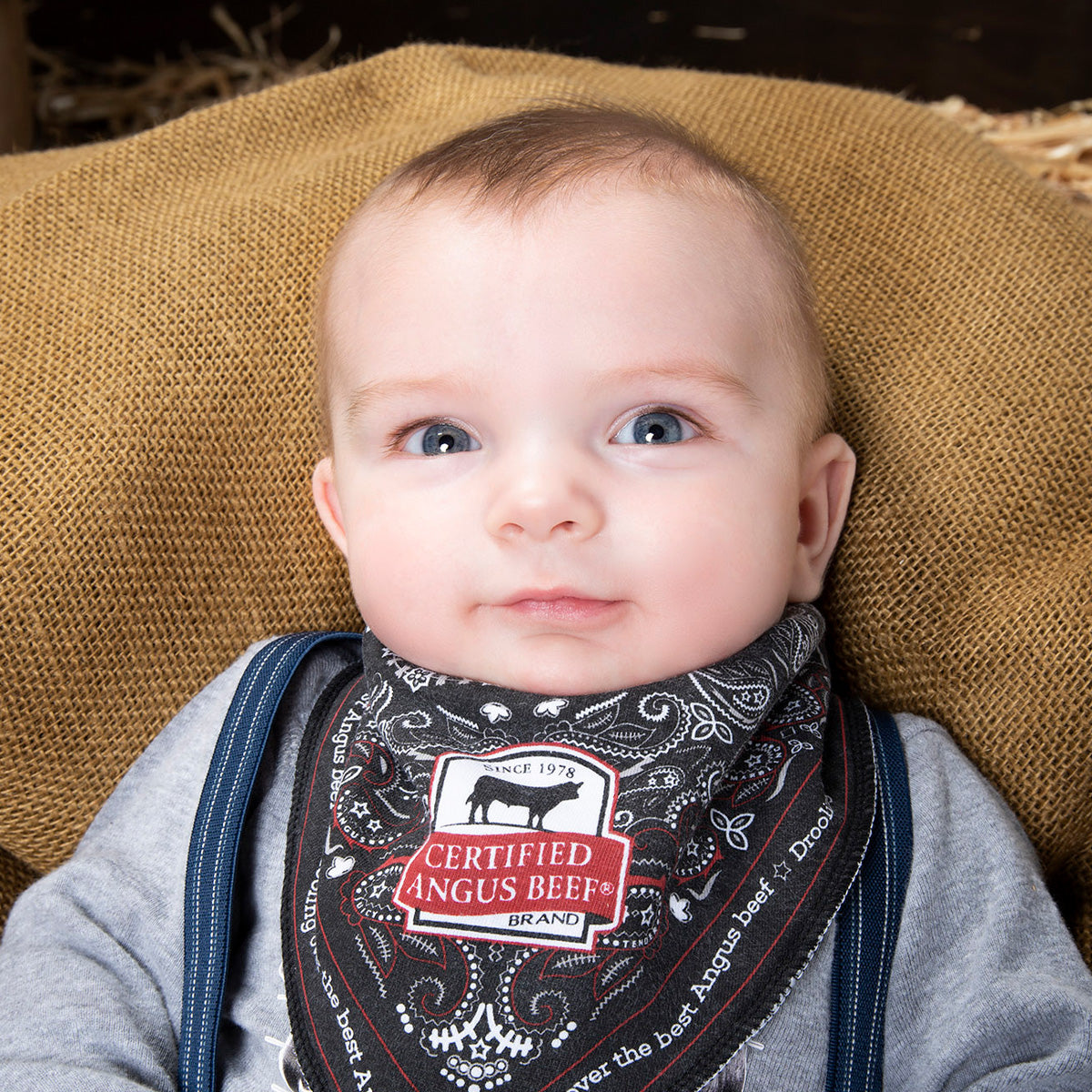Bandana-style Baby Bib